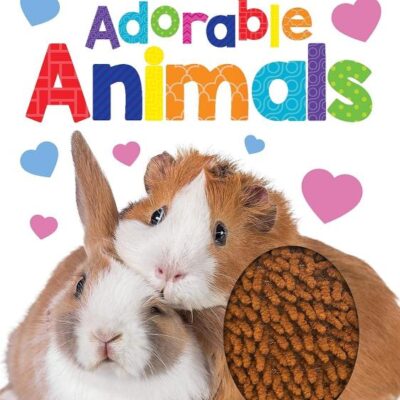 Adorable Animals Touch and Feel Book