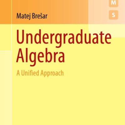 Undergraduate Algebra: A Unified Approach (Springer Undergraduate Mathematics Series)