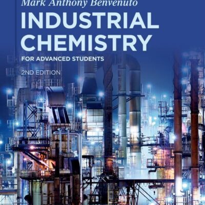 Industrial Chemistry: for Advanced Students (De Gruyter Textbook)
