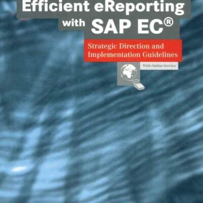 EFFICIENT EREPORTING WITH SAP EC: STRATEGIC DIRECTION AND IMPLEMENTATION GUIDELINES (Efficient Business-Computing)
