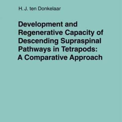 Development And Regenerative Capacity Of Descending Supraspinal Pathways In Tetrapods ; A Comparative Approach