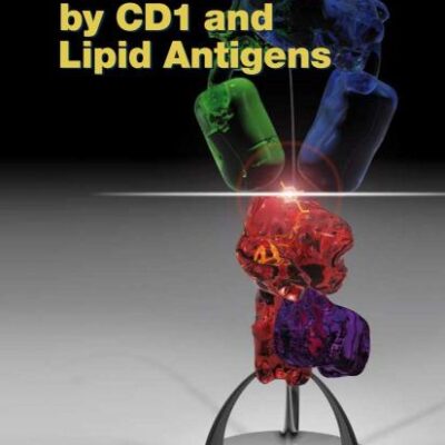 T Cell Activation By Cd1 And Lipid Antigens