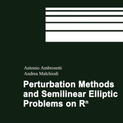 Perturbation Methods And Semilinear Elliptic Problems On R^N (Hb 2006)