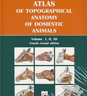 Atlas Of Topographical Anatomy Of Domestic Animals Vol.1,2,3 (In Single Volume) 4Ed (Hb)