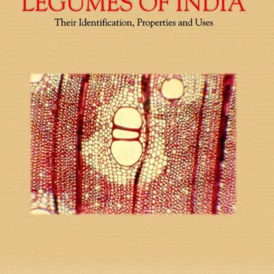 Wood Anatomy of Legumes of India: Their Identification, Properties and Uses
