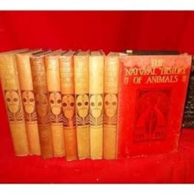 Natural History of Animals: The Animal Life of the World in Its Various Aspects and Relations