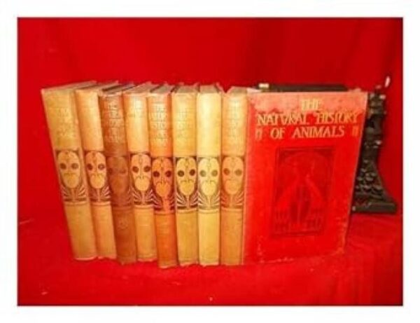 Natural History of Animals: The Animal Life of the World in Its Various Aspects and Relations