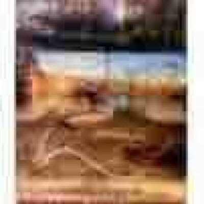 Anthropology of Disaster Management