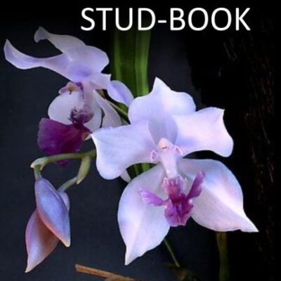 The Orchid Stud-Book