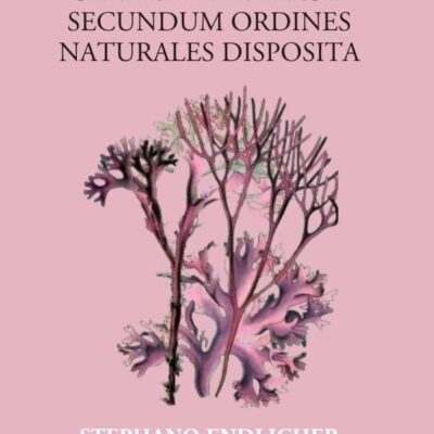 Genera Plantarum Secundum Ordines Naturales Disposita