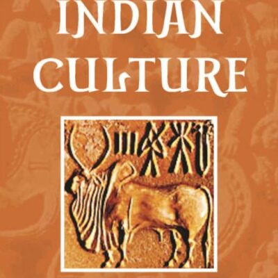 EARLY INDIAN CULTURE