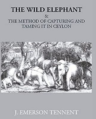 Wild Elephant and the Method of Capturing and Taming it in Ceylon