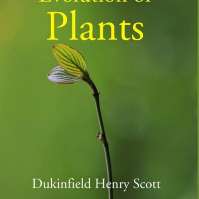 The Evolution of Plants [Hardcover]