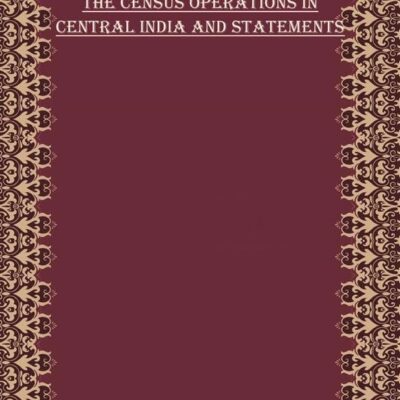 Census of India 1881: Report On The Census Of The Panjab Volume Book 29 1st [Hardcover]
