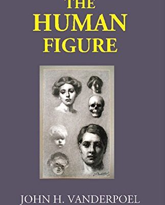 The Human Figure