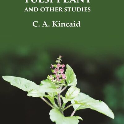 The Tale of the Tulsi Plant: and other Stories [Hardcover]