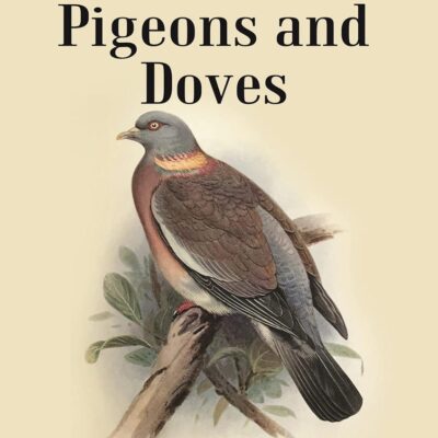 Indian Pigeons and Doves [Hardcover]