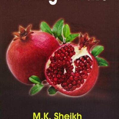 THE POMEGRANATE (HB 2015)