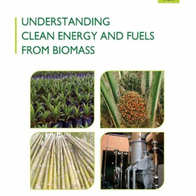 Understanding Clean Energy and Fuels from Biomass | e | k