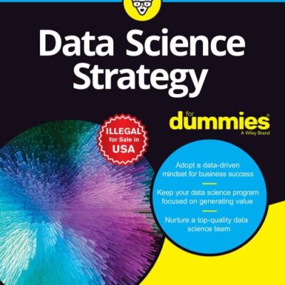 Data Science Strategy for Dummies
