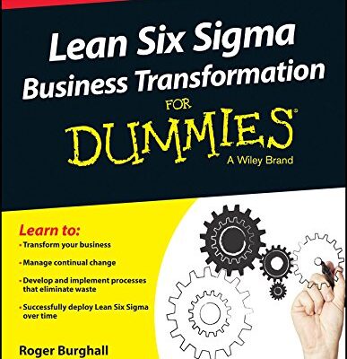 Lean Six Sigma Business Transformation for Dummies