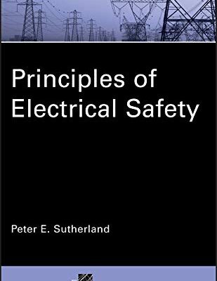 Principles of Electrical Safety (IEEE Press Series on Power and Energy Systems Book 73)