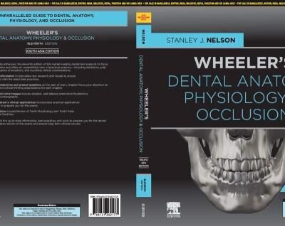 WHEELERS DENTAL ANATOMY PHYSIOLOGY AND OCCLUSION 11ED (SAE) (PB 2021)