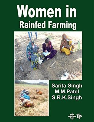 Gender Perspectives South Asian Writings In English And In English Translations