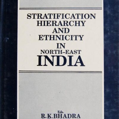 Stratification Hierarchy (Unknown-Desc)