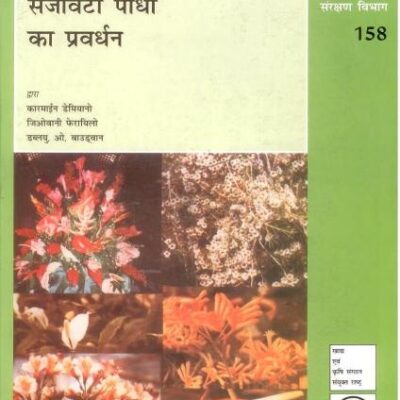 Garm Pradesho Mein Sajaavati Paudhon Ka Prasaar