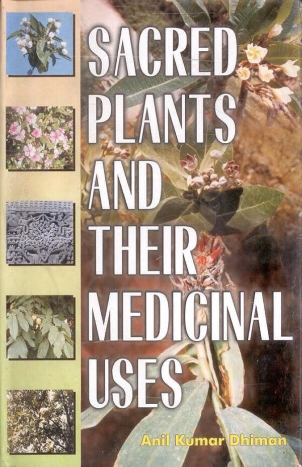 Sacred Plants and Their Medicinal Uses