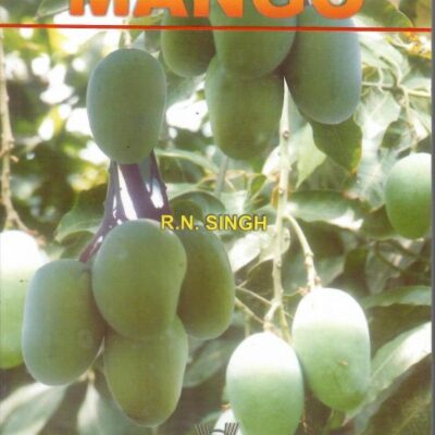 Mango (PB)