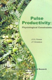 Pulse Productivity - Physiological Constraints