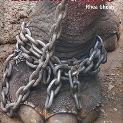 Gods In Chains (Hb 2005)