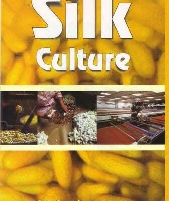 Silk Culture