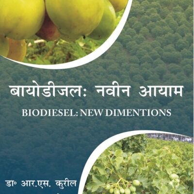 Biodiesel: New Dimentions