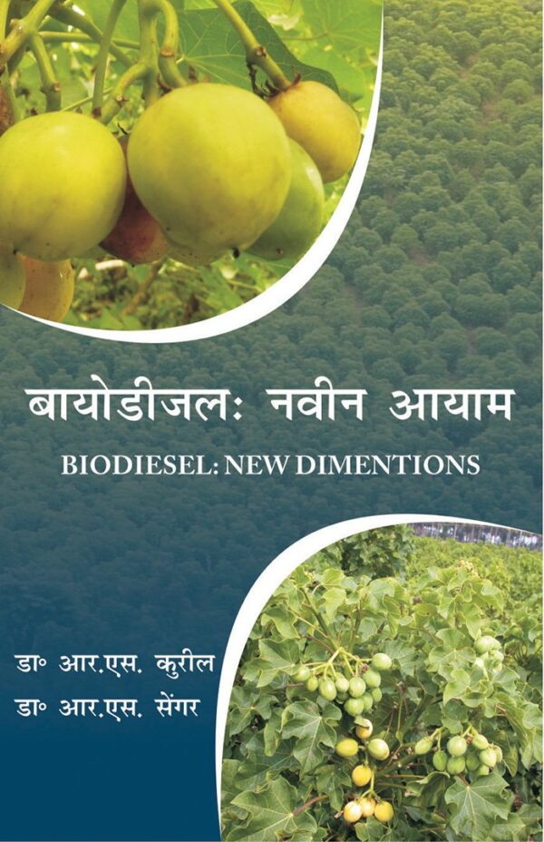 Biodiesel: New Dimentions