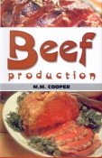 Beef Production