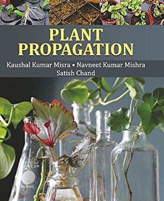 Plant Propagation