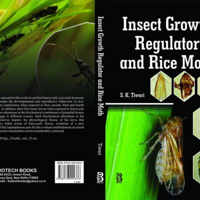 Insect Growth Regulator and Rice Moth