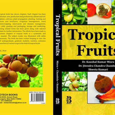 Tropical Fruits
