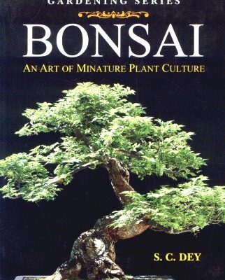 Bonsai: An Art of Miniature Plant Culture