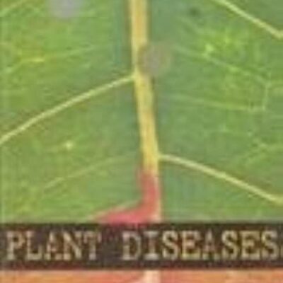 Plants Diseases