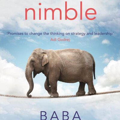 Nimble: How Intelligences Can Create Agile Companies and Wise Leaders