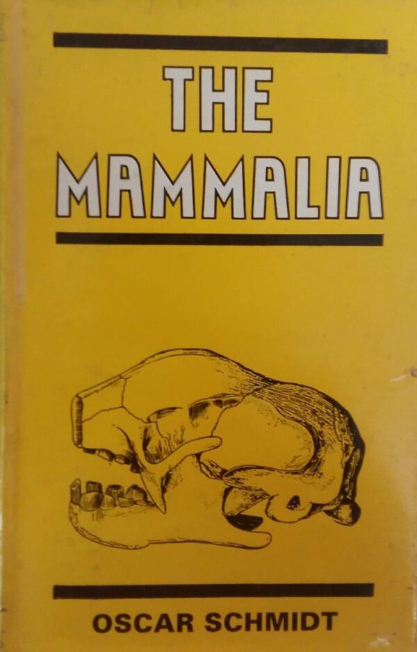 Mammalia