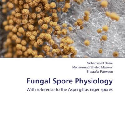 Islam: The Ultimate Faith