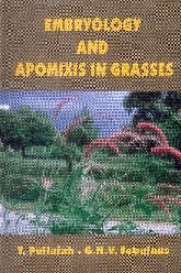 EMBRYOLOGY AND APOMIXIS IN GRASSES