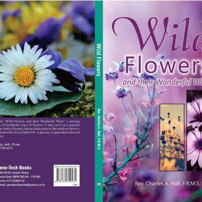 Wild Flowers and Their wonderful Ways
