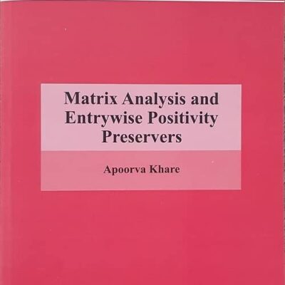 MATRIX ANALYSIS AND ENTRYWISE POSITIVITY PRESERVERS