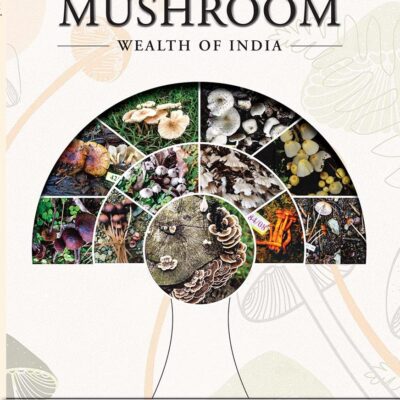 Mushroom wealth of India